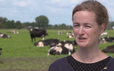 Video – GLZ Tierschutz – Stefanie Pöpken