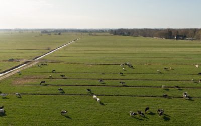 Niedersächsische Ackerbau- und Grünlandstrategie