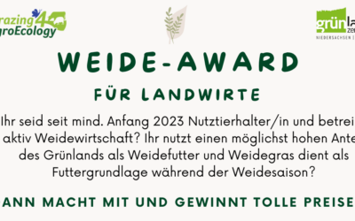 Weide-Award in G4AE