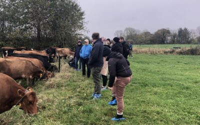 Innovative Landwirtschaft in Schleswig-Holstein