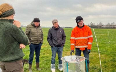 Herausforderungen in der Weidehaltung