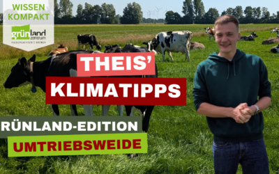 Theis‘ Klimatipps – Umtriebsweide